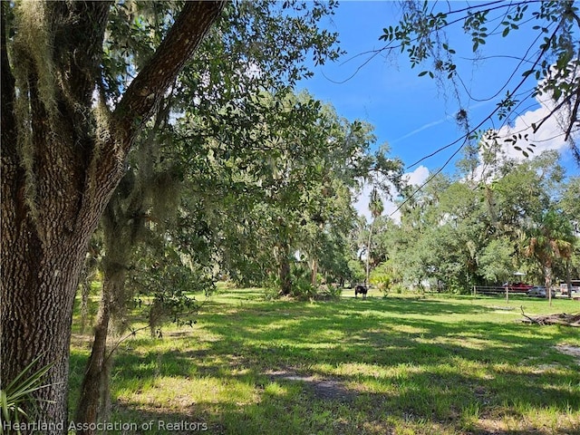 275 Doe Run, Lorida, FL 33857 - photo 7