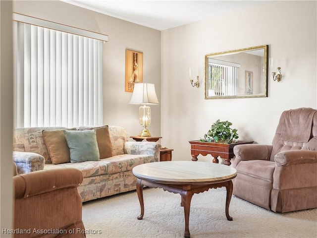 living room with carpet