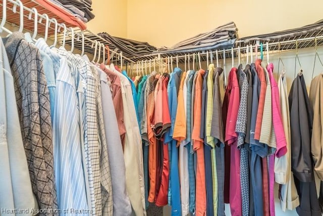 view of walk in closet