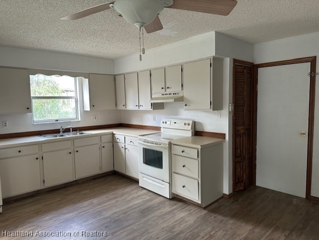 kitchen featuring ceiling fan, sink, white range with electric stovetop, wood-type flooring, and a textured ceiling