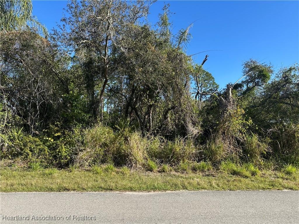 3021 Jacaranda Ave, Lake Placid, FL 33852 - photo 2