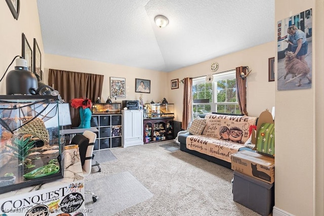 297 NE Glentry Ave NE, Port St Lucie, FL 34983 - carpeted living room featuring vaulted ceiling and a textured ceiling