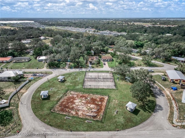 bird's eye view