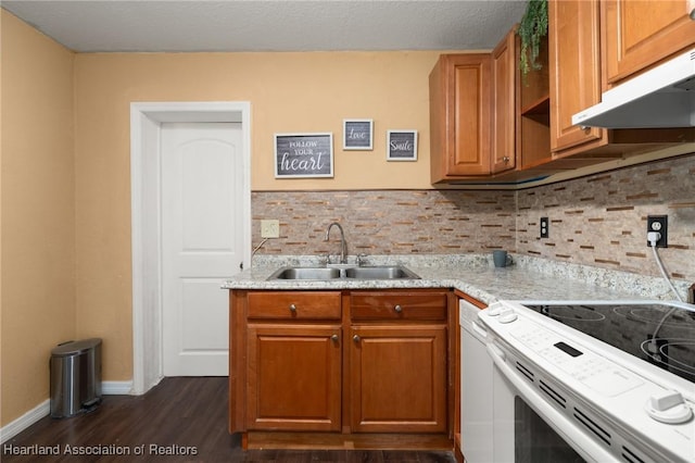 kitchen featuring ventilation hood, electric stove, sink, tasteful backsplash, and dark hardwood / wood-style flooring