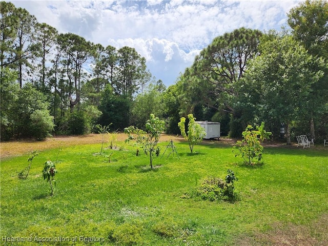 view of yard featuring a shed and an outdoor structure