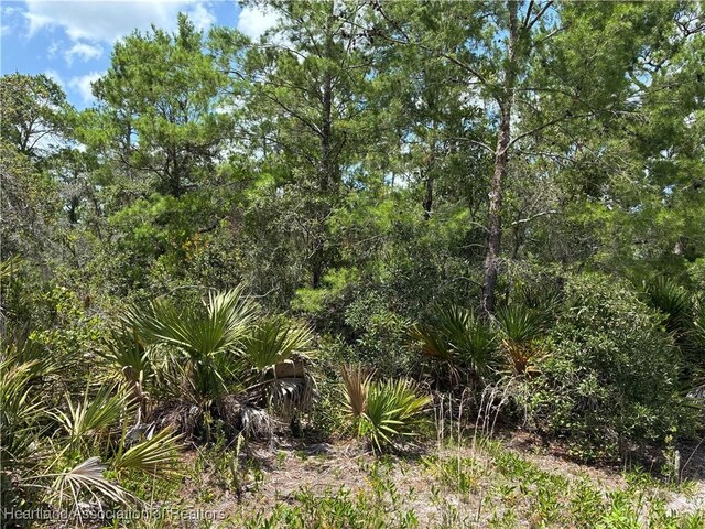 1110 Viburnum Dr, Sebring, FL 33875 - photo 3