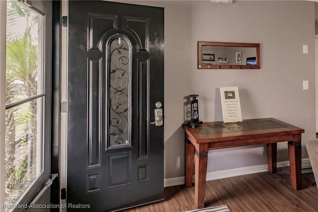 foyer with hardwood / wood-style flooring and a wealth of natural light