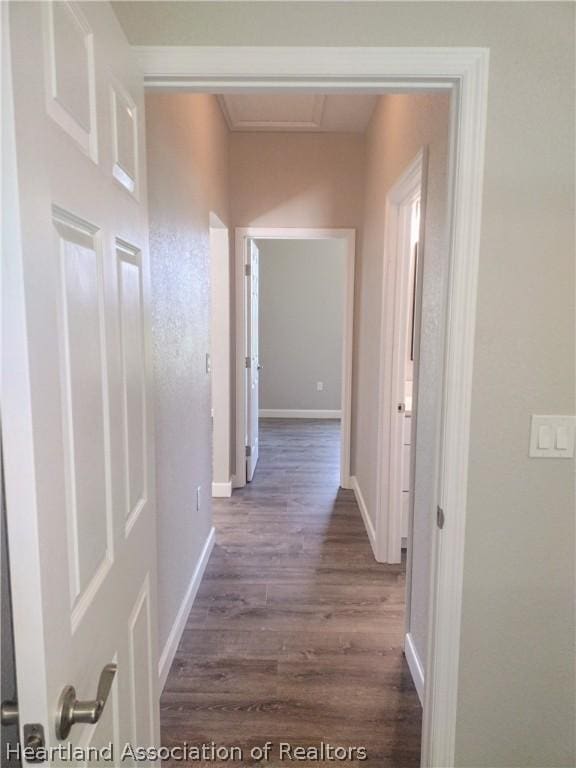 corridor with dark hardwood / wood-style floors