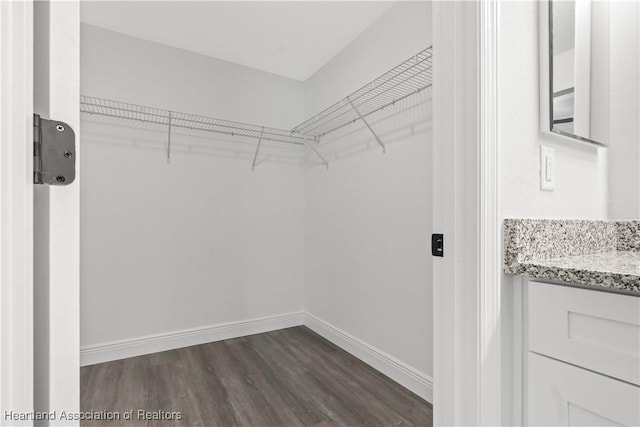 spacious closet with dark wood-type flooring