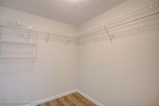 walk in closet featuring wood-type flooring