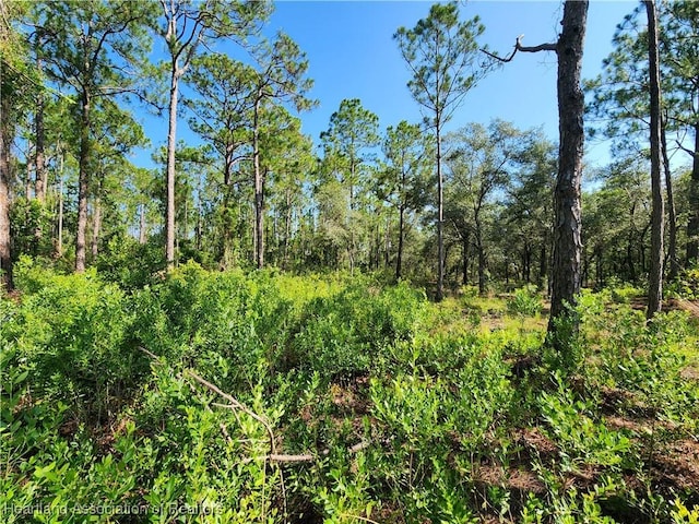 0 Henry Dr, Venus, FL 33960 - photo 10