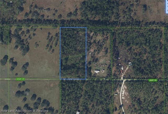 0 Henry Dr, Venus, FL 33960 - photo 4