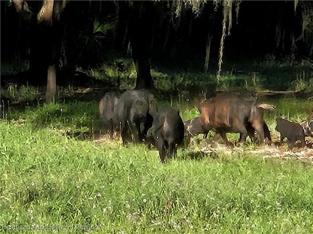 0 Henry Dr, Venus, FL 33960 - photo 27