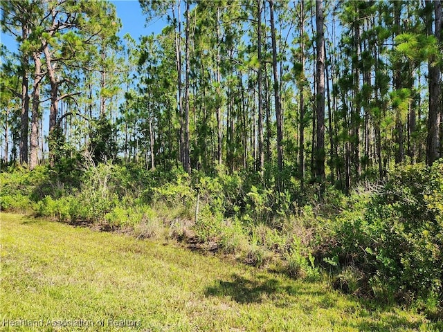0 Henry Dr, Venus, FL 33960 - photo 15