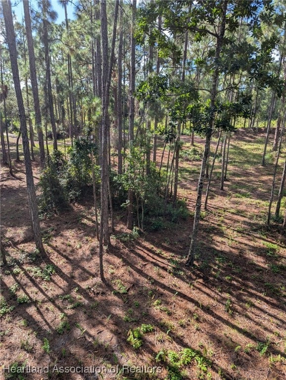 0 Henry Dr, Venus, FL 33960 - photo 35