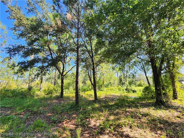 0 Henry Dr, Venus, FL 33960 - photo 17