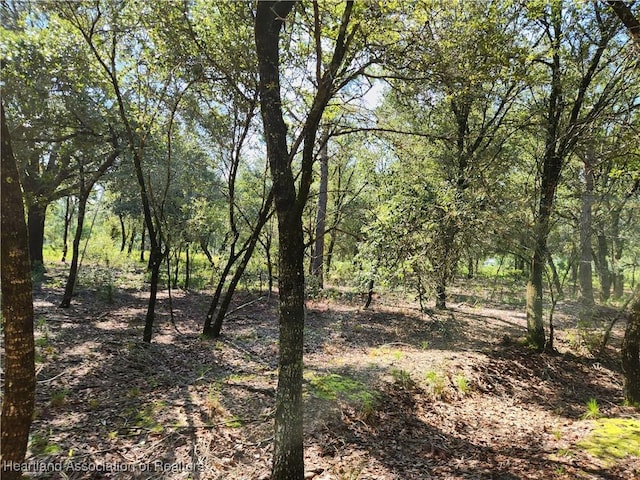 0 Henry Dr, Venus, FL 33960 - photo 2