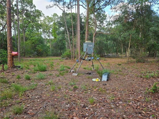 0 Henry Dr, Venus, FL 33960 - photo 14