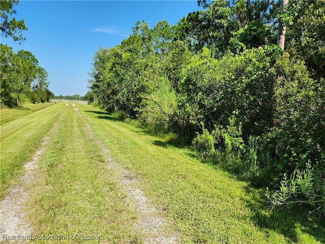 0 Henry Dr, Venus, FL 33960 - photo 8