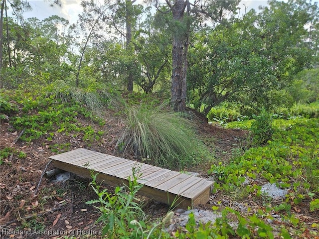0 Henry Dr, Venus, FL 33960 - photo 16