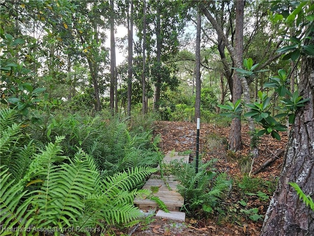 0 Henry Dr, Venus, FL 33960 - photo 24