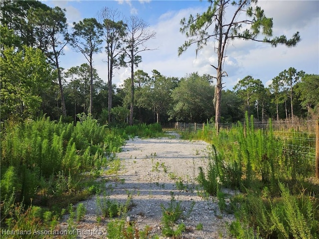 0 Henry Dr, Venus, FL 33960 - photo 21