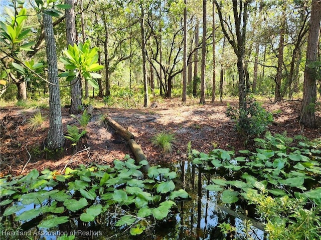 0 Henry Dr, Venus, FL 33960 - photo 13