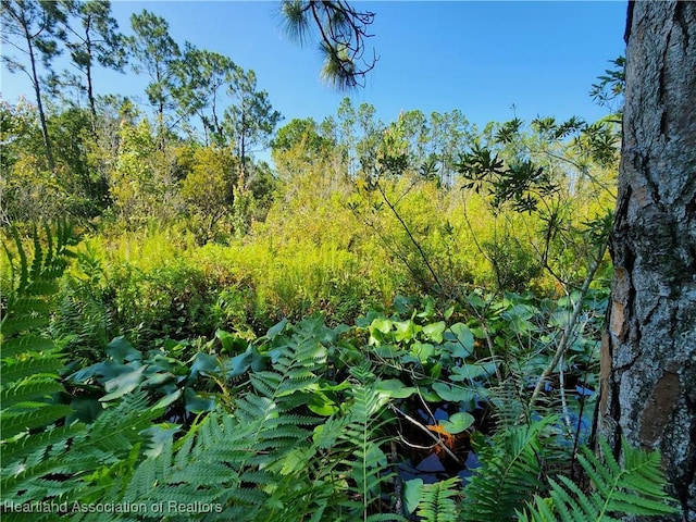 0 Henry Dr, Venus, FL 33960 - photo 11