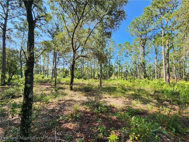 0 Henry Dr, Venus, FL 33960 - photo 5