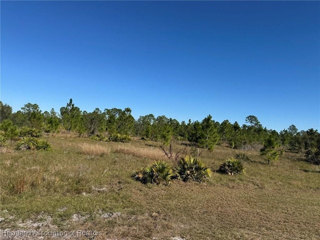 view of local wilderness with a rural view