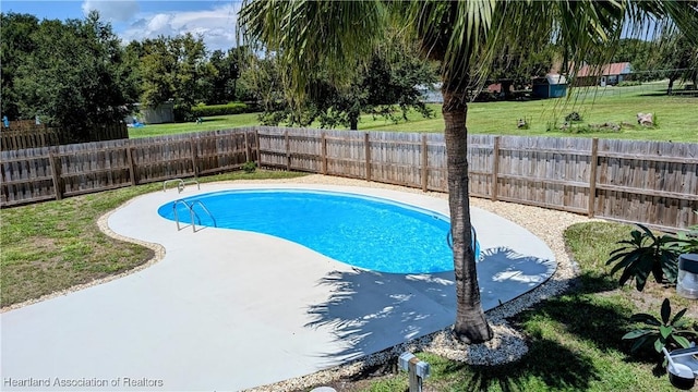 view of swimming pool with a lawn