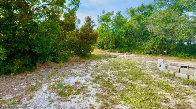 439 Hoover Ave NE, Lake Placid, FL 33852
