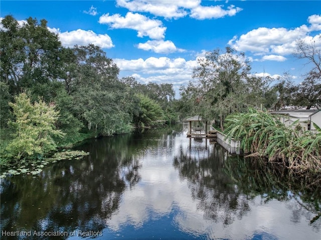 water view featuring a dock