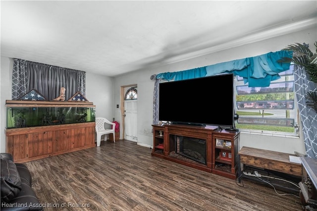 living room with dark wood-type flooring