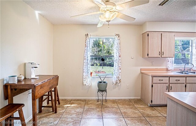 kitchen featuring light brown cabinetry, sink, light tile patterned floors, and a wealth of natural light