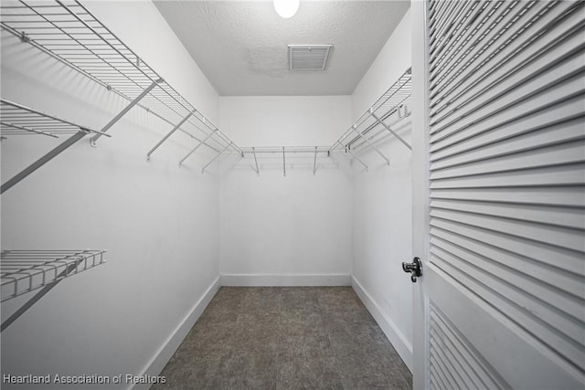 walk in closet featuring carpet and visible vents