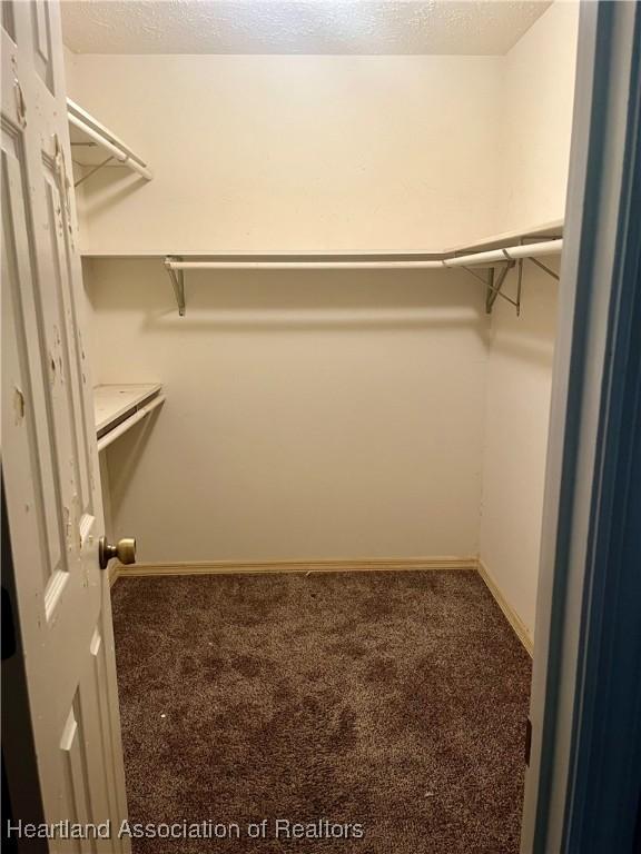 2527 Davis Cir, Sebring, FL 33870 - spacious closet with carpet floors