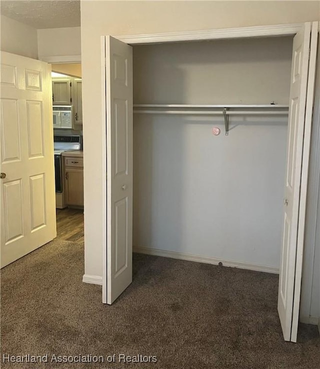 2527 Davis Cir, Sebring, FL 33870 - view of closet