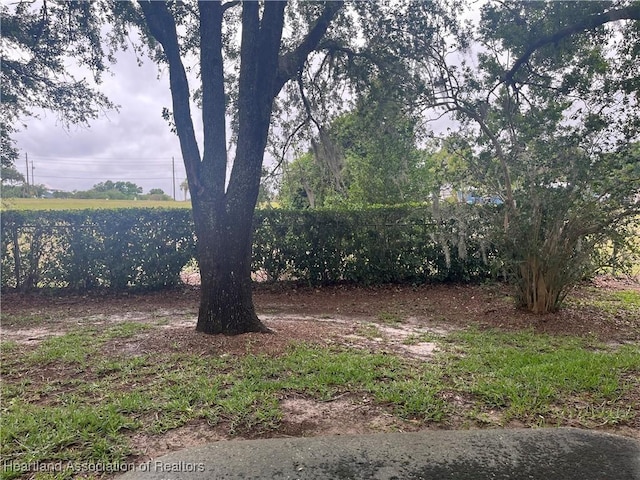 2527 Davis Cir, Sebring, FL 33870 - view of yard