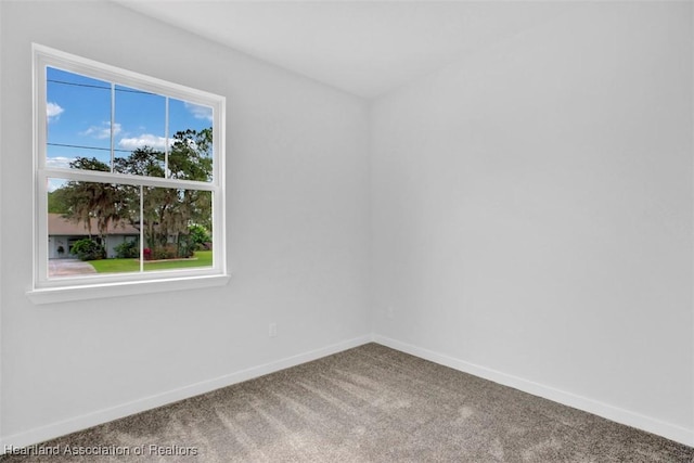 spare room with carpet floors and plenty of natural light