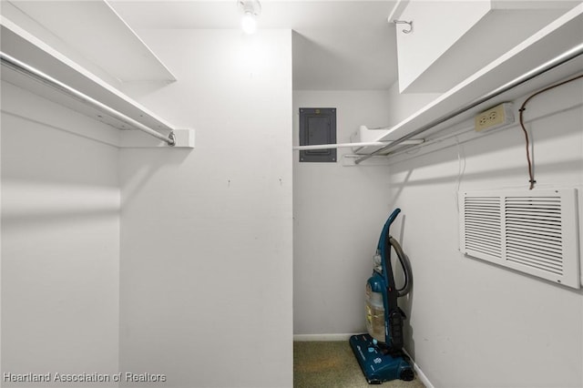 2111 Lakeview Dr Unit 1A, Sebring, FL 33870 - walk in closet with electric panel and carpet flooring