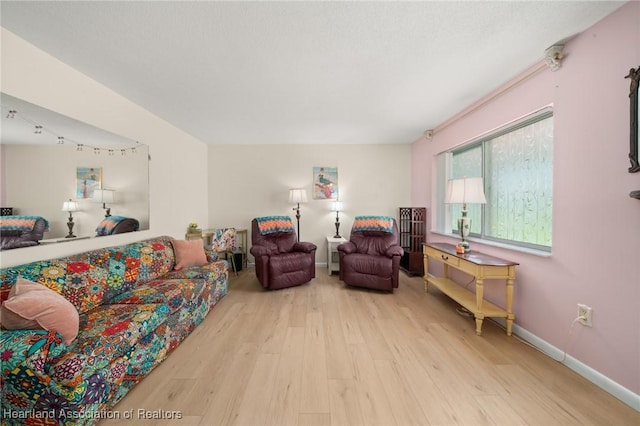 2111 Lakeview Dr Unit 1A, Sebring, FL 33870 - living room featuring wood finished floors and baseboards