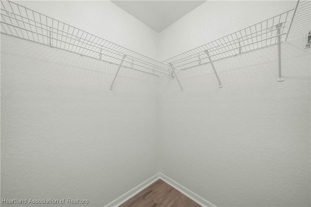 spacious closet featuring hardwood / wood-style flooring