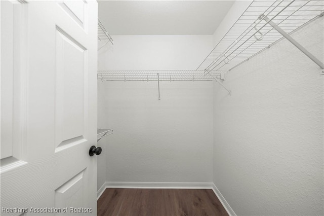 walk in closet featuring hardwood / wood-style floors