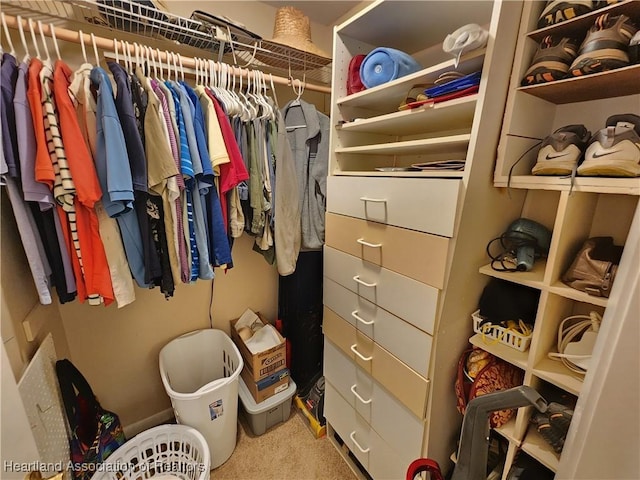 spacious closet with light colored carpet