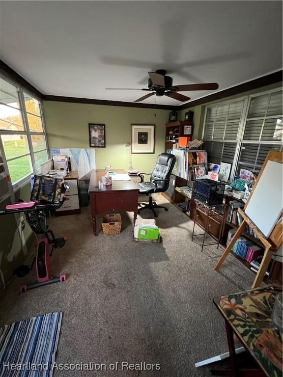 home office with carpet, crown molding, and ceiling fan