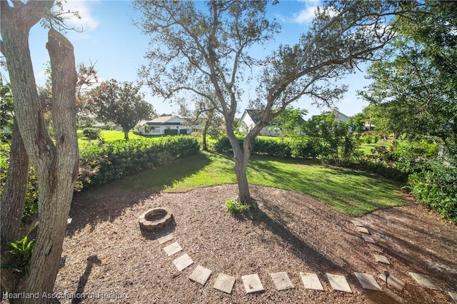 view of yard