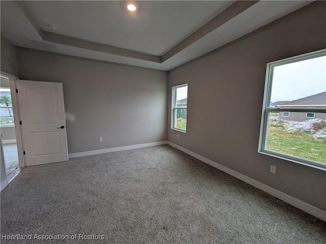 carpeted spare room with a raised ceiling