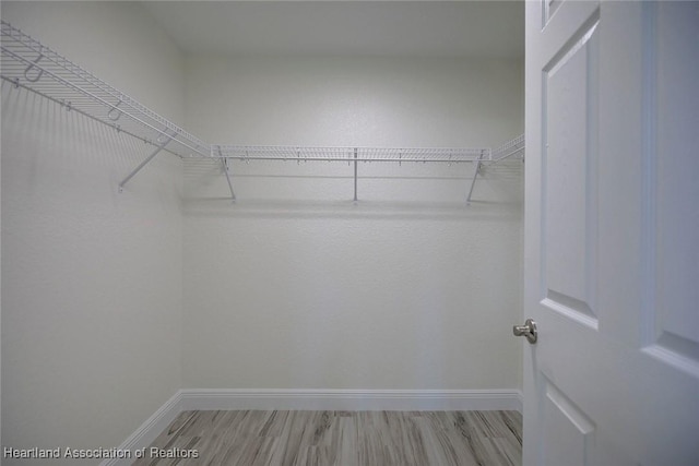 walk in closet with light hardwood / wood-style flooring