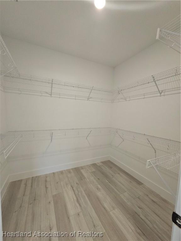 walk in closet featuring light hardwood / wood-style flooring